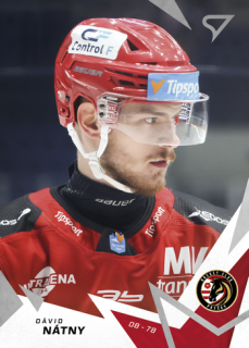 25-26 TIPSPORT LIGA - Dávid NÁTNY č. 316