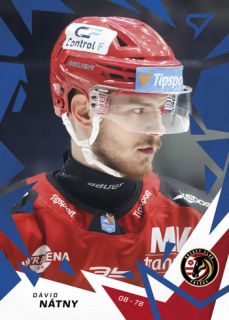 25-26 TIPSPORT LIGA - Dávid NÁTNY č. 316 Blue Iceberg