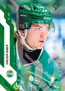 25-26 SHL - Gregor BIBER no. 147 Shamrock Green x/30