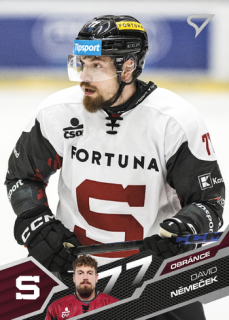 25-26 TELH - David NĚMEČEK č. 270