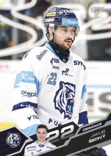 25-26 TELH - Jakub ŠEDIVÝ č. 333