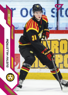 25-26 SHL - Gustav HILLSTRÖM č. 264 Crimson Pink