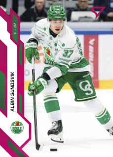 25-26 SHL - Albin SUNDSVIK č. 305 Crimson Pink