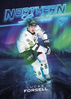 25-26 SHL - Lucas FORSELL č. NL-14 Northern Lights