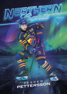 25-26 SHL - Jesper PETTERSSON č. NL-44 Northern Lights