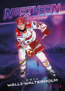 25-26 SHL - Erik WALLI-WALTERHOLM č. NL-19 Northern Lights Neon Pink x/75