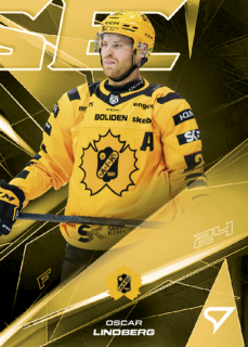25-26 SHL - Oscar LINDBERG č. PH-033 Powerhouse