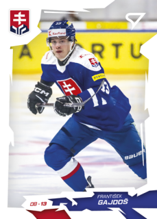 2026 Hokejové Slovensko - František GAJDOŠ č. 07