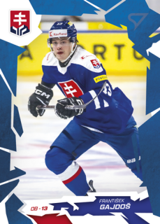 2026 Hokejové Slovensko - František GAJDOŠ č. 07 Blue