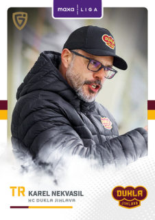 25-26 GOAL Cards - Karel NEKVASIL č. JIH-29 Canvas