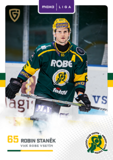 25-26 GOAL Cards - Robin STANĚK č. VSE-17
