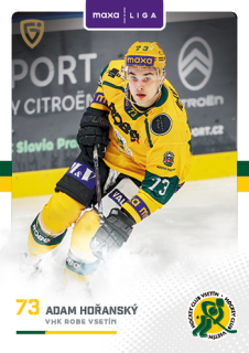 25-26 GOAL Cards - Adam HOŘANSKÝ č. VSE-19