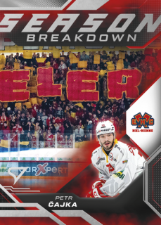25-26 NLA - Petr ČAJKA no. SB-33 Season Breakdown