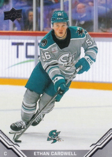 25-26 UD AHL - Ethan CARDWELL č. 19