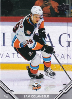 25-26 UD AHL - Sam COLANGELO č. 41