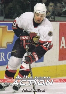 2003-04 ITG Action - Todd WHITE č. 427