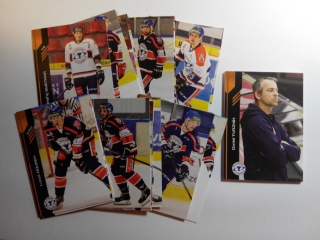 18-19 Premium Cards - HC Stadion Litoměřice set (34 karet)