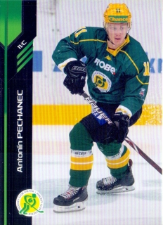 18-19 Premium Cards - Antonín PECHANEC č. 221