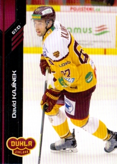 18-19 Premium Cards - David KAJÍNEK č. 246