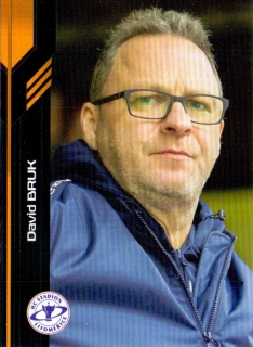 18-19 Premium Cards - David BRUK č. T13