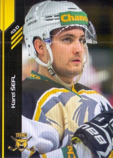 18-19 Premium Cards - Karel ŠEFL č. 274