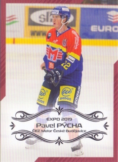 EXPO 2019 - Pavel PÝCHA č. EXPO011