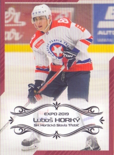 EXPO 2019 - Luboš HORKÝ č. EXPO018