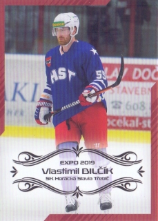 EXPO 2019 - Vlastimil BILČÍK č. EXPO020