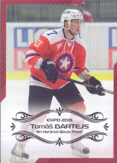 EXPO 2019 - Tomáš BARTEJS č. EXPO021