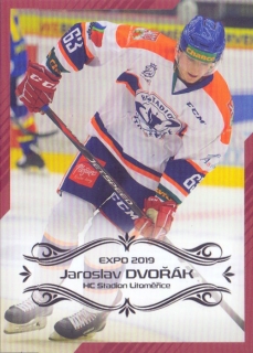 EXPO 2019 - Jaroslav DVOŘÁK č. EXPO029