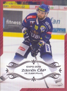 EXPO 2019 - Zdeněk ČÁP č. EXPO034