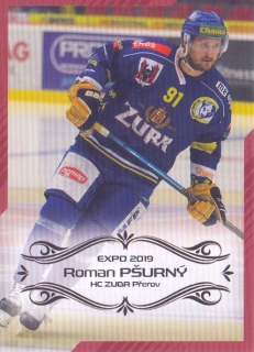EXPO 2019 - Roman PŠURNÝ č. EXPO036