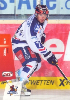 14-15 DEL - Mike YORK č. 110