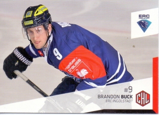 14-15 DEL - Brandon BUCK č. 356