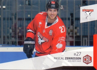 14-15 DEL - Pascal ZERRESSEN č. 376