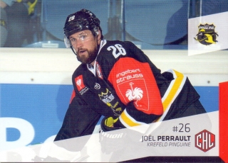 14-15 DEL - Joel PERRAULT č. 407