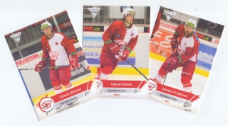 19-20 Premium Cards - HC Slavia Praha set (29 karet)