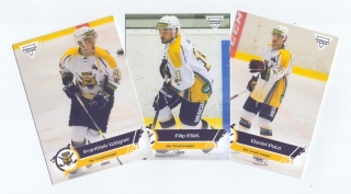 19-20 Premium Cards - SK Trhači Kadaň set (29 karet)