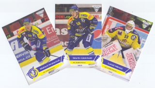 19-20 Premium Cards - HC ZUBR Přerov set (32 karet)