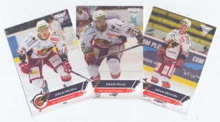2019-20 Premium Cards - LHK Jestřábi Prostějov set (30 karet)