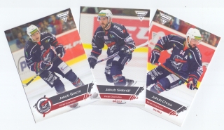 19-20 Premium Cards - Piráti Chomutov set (28 karet)