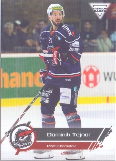 19-20 Premium Cards - Dominik TEJNOR č. 28