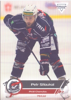 19-20 Premium Cards - Petr STLOUKAL č. 43