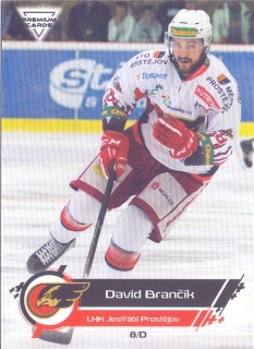 19-20 Premium Cards - David BRANČÍK č. 52