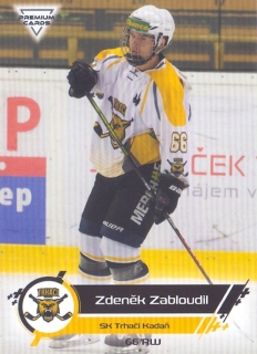 19-20 Premium Cards - Zdeněk ZABLOUDIL č. 142