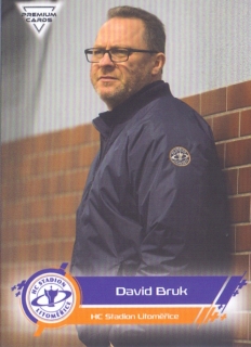 19-20 Premium Cards - David BRUK č. 187