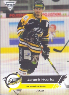 19-20 Premium Cards - Jaromír KVERKA č. 213