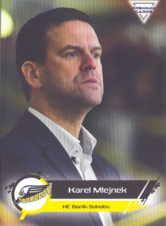 19-20 Premium Cards - Karel MLEJNEK č. 229