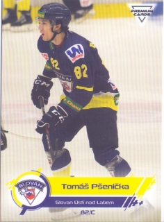 19-20 Premium Cards - Tomáš PŠENIČKA č. 249