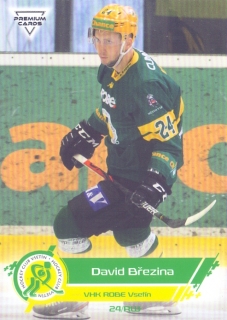 19-20 Premium Cards - David BŘEZINA č. 258